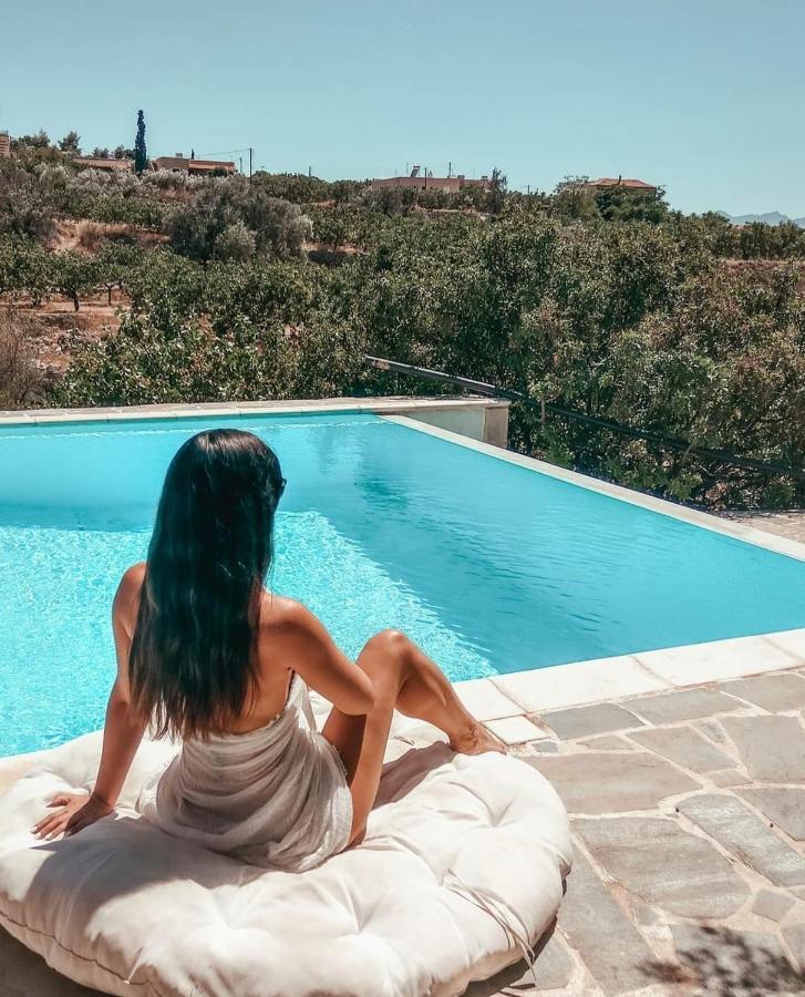 Villa Xenia Aegina المظهر الخارجي الصورة