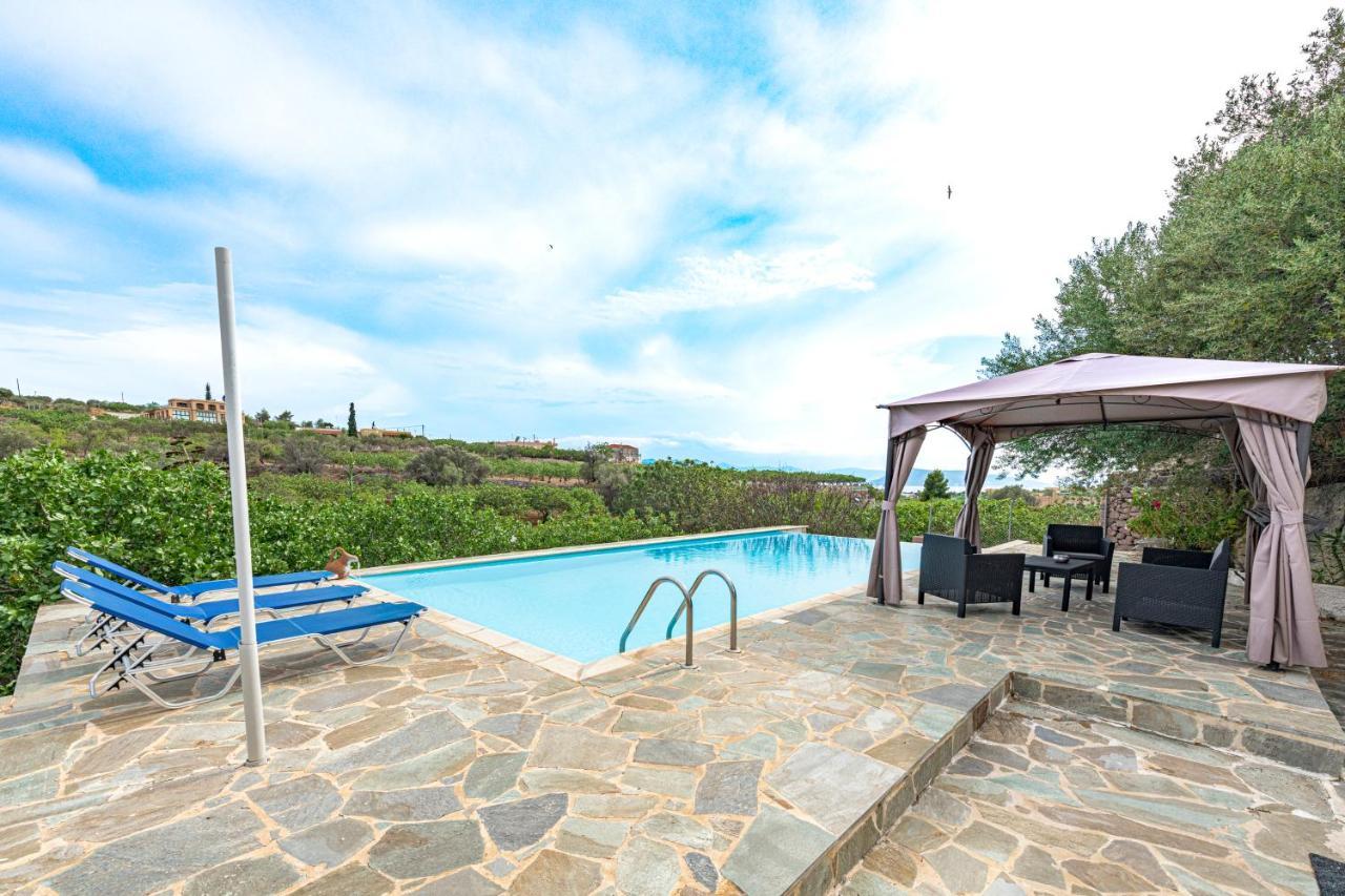 Villa Xenia Aegina المظهر الخارجي الصورة